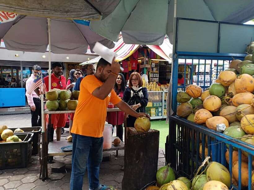 Private KL City Tour with Petronas Twin Towers & Batu Caves - Who should book this Kuala Lumpur day tour?