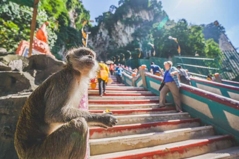 Private KL City Tour with Petronas Twin Towers & Batu Caves - See Kuala Lumpur from the Petronas Twin Towers