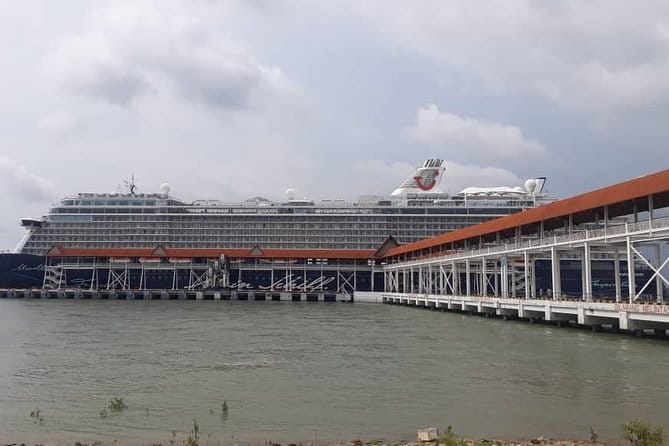Private Kuala Lumpur Shore Excursions - A driver who shapes the day