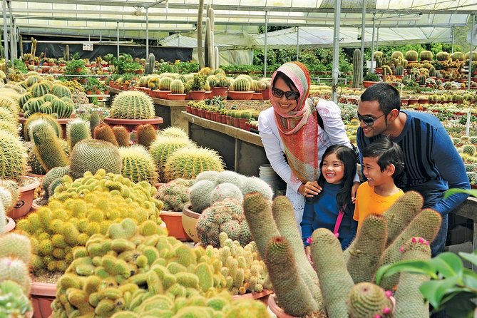 Private Nature Trip to Cameron Highlands from Kuala Lumpur - Strawberries, flowers, and the costs that add up