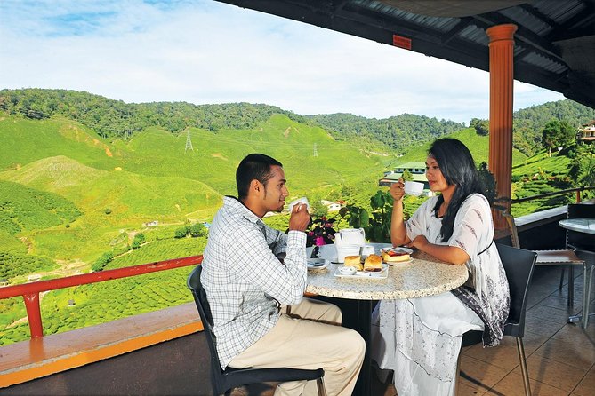 Private Nature Trip to Cameron Highlands from Kuala Lumpur - Butterflies and insects at Kea Farm