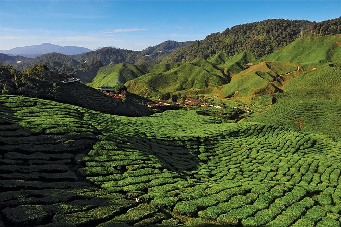 Private Nature Trip to Cameron Highlands from Kuala Lumpur - The climb begins at Lata Iskandar Waterfall