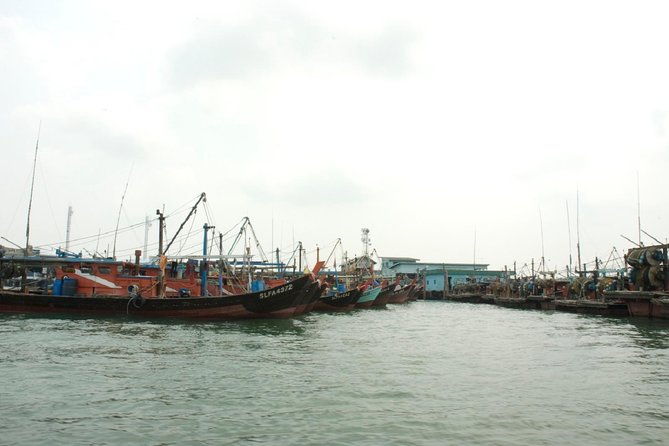 Private Tour: Crab Island Sightseeing Boat Ride and Seafood Lunch - Choosing lunch from fresh island seafood