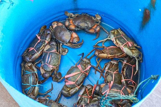 Private Tour: Crab Island Sightseeing Boat Ride and Seafood Lunch - Thean Hou Temple before hotel drop-off