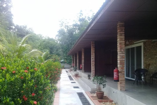 Private Transfer to Taman Negara from Kuala Lumpur - Four hours in a private air-conditioned vehicle