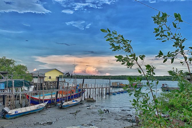 Pulau Ketam Rural Adventure Day Tour (SIC – Join In Tour) - What $49 covers, and where the value lies