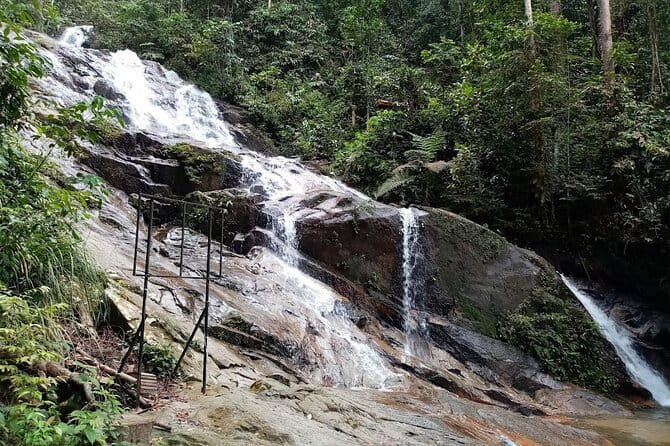 Rainforest-Cascading Waterfall & Batu Cave (Private Tour) - What the rainforest stop feels like