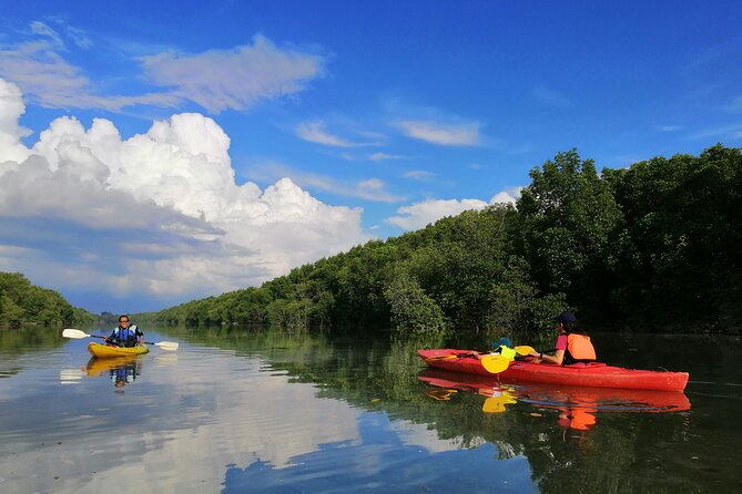 River Exploration and Mangrove Nature Tour by kayaking - A Mangrove Paddle Near Kuala Lumpur