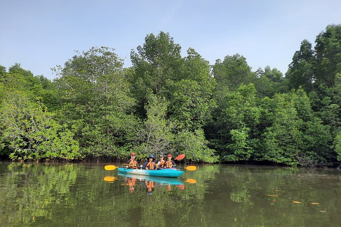 River Exploration and Mangrove Nature Tour by kayaking - Walking to the Floating House