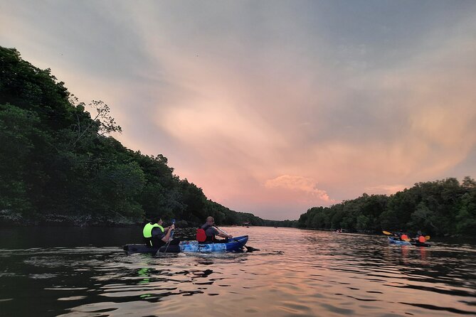 River Exploration and Mangrove Nature Tour by kayaking - Wildlife Along the Mangrove Channels