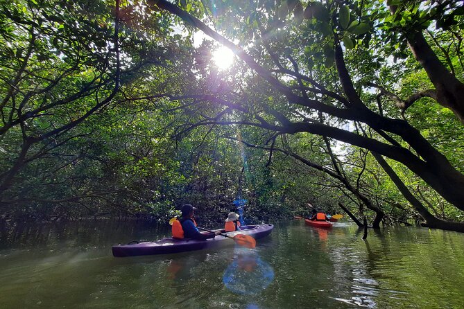 River Exploration and Mangrove Nature Tour by kayaking - Fruit, Juice, and Practical Gear