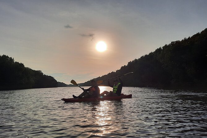River Exploration and Mangrove Nature Tour by kayaking - How the Tide Changes the Route