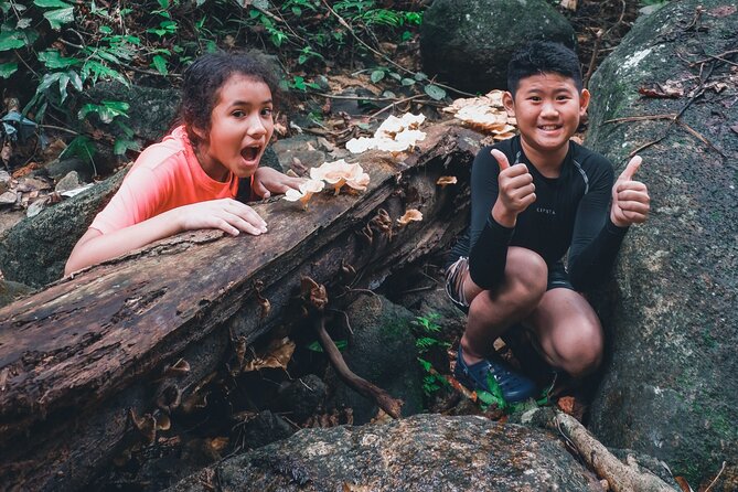 Secluded Waterfall Adventure - Walking the 45-Minute Trail