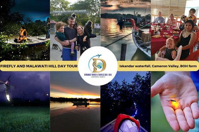 Shared Fireflies Tour with Blue Tears and Seafood Dinner - Booking, weather, and cancellation advice