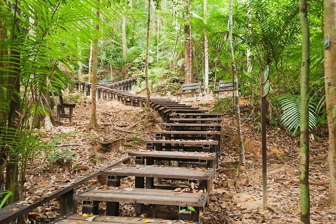 Taman Negara Day Tour with Canopy Walk - Why Taman Negara makes a worthwhile day from Kuala Lumpur