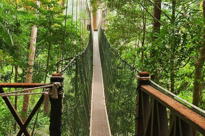 Taman Negara National Park Day Excursion from Kuala Lumpur PVT - Leaving Kuala Lumpur at 6:00 am