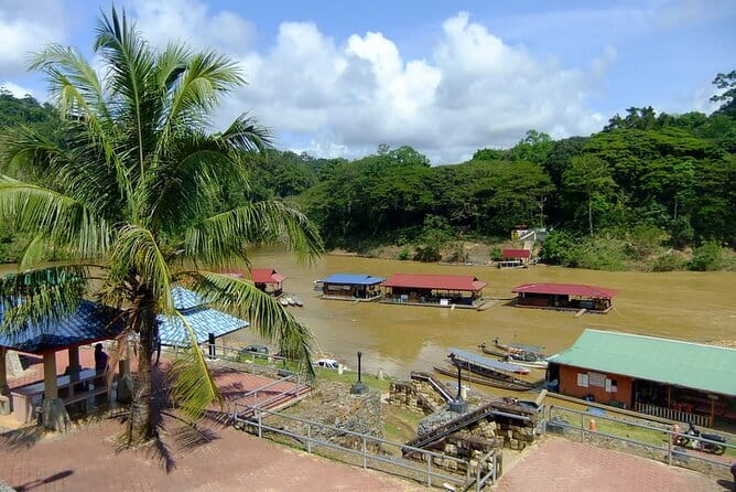 Taman Negara National Park Day Excursion from Kuala Lumpur PVT - Entering one of the world’s oldest rainforests