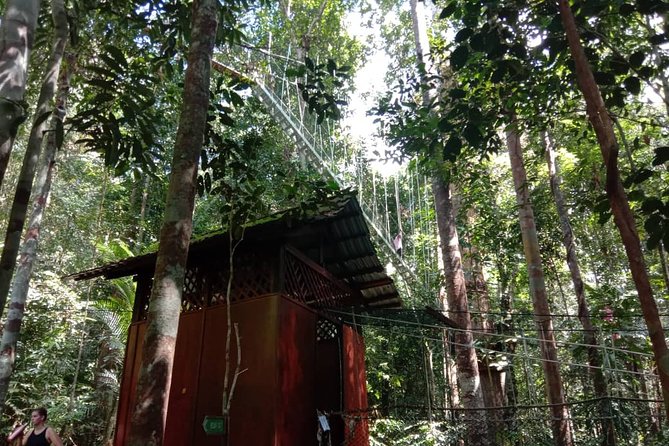 Taman Negara National Park Day Tour (SIC - Join In Tour) - Reaching Kuala Tahan after the early pickup