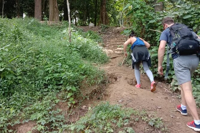 Taman Negara National Park Day Tour (SIC - Join In Tour) - Practical packing for a wet jungle day