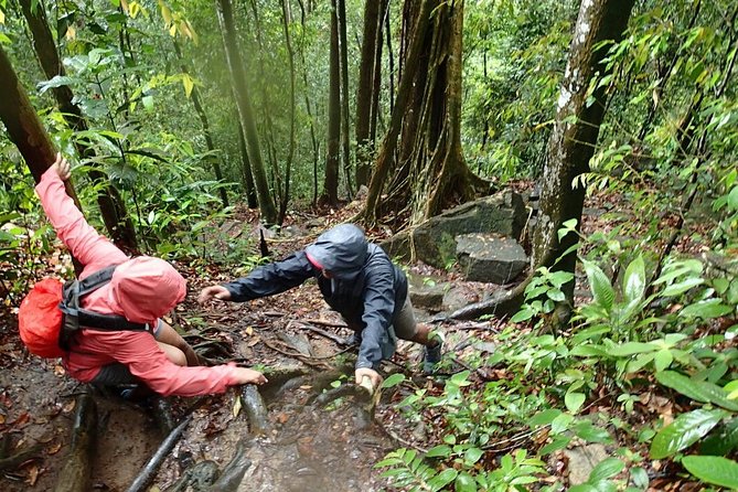 Templer Park and Kanching Waterfall Tour with Batu Caves Stopover - Kanching Waterfall and its cool pools