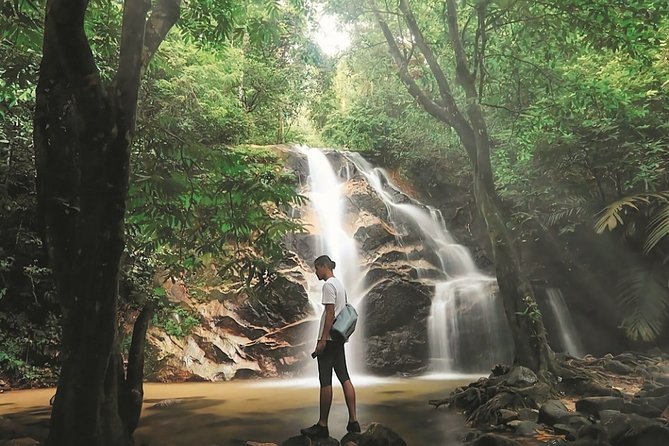 Templer Park and Kanching Waterfall Tour with Batu Caves Stopover - What the private vehicle changes