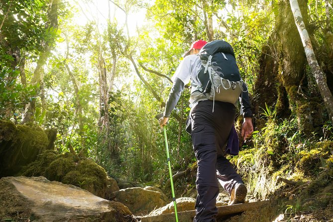 Templer Park and Kanching Waterfall Tour with Batu Caves Stopover - What the $56.38 price buys you